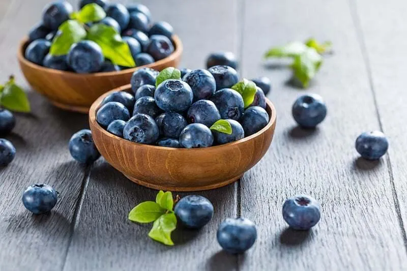 Zašto biste češće trebali da jedete borovnice: Zdravstvene koristi