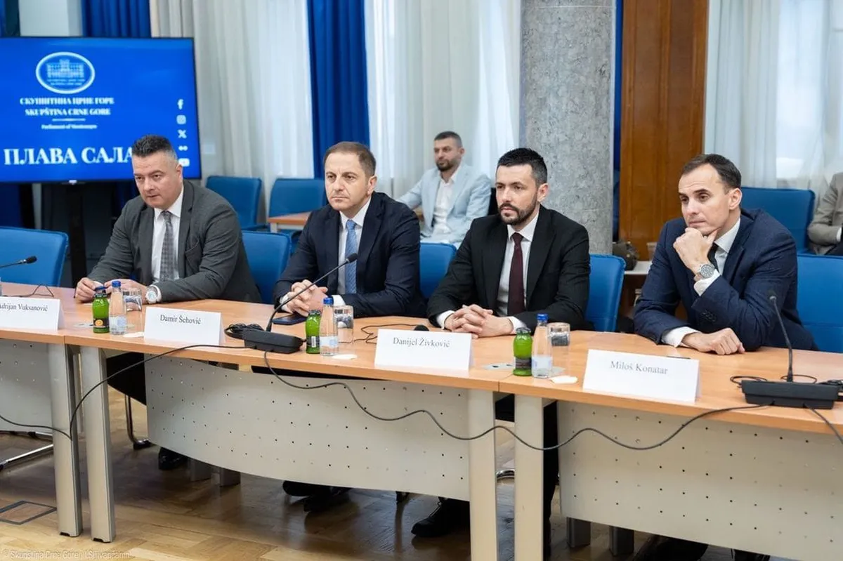 Živković: Evropska retorika paravan za propuste crnogorske Vlade