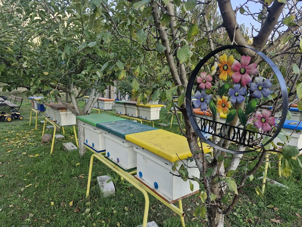 Podrška razvoju pčelarstva u Herceg Novom: Sastanak sa pčelarima