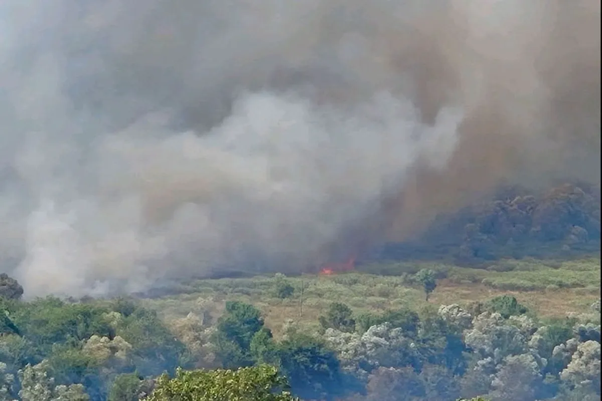 Aktivni požari na teritoriji Podgorice i Zete: Vatrogasci na terenu