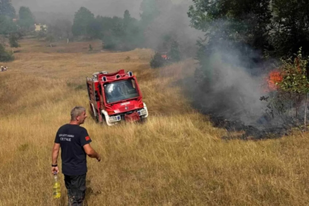 Aktivni požari u Podgorici, Pljevljima i Kolašinu: Pomoć iz vazduha