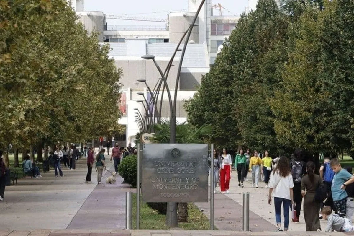 CGO: Žurba sa izborom rektora otvara pitanje čiji se interes štiti CGO: Žurba sa izborom rektora otvara pitanje čiji se interes štiti