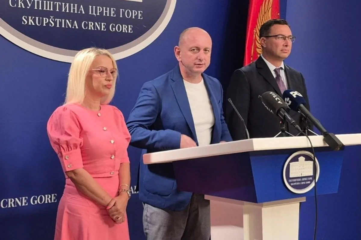 DNP odbacuje optužbe protiv Mihaila Asanovića DNP odbacuje optužbe protiv Mihaila Asanovića