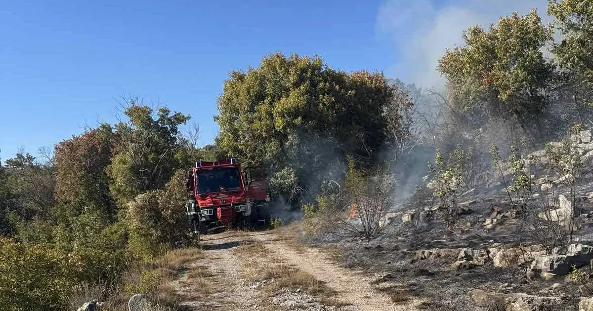 Ekokriminal uzeo maha, Ozon poziva na odgovornost nadležnih