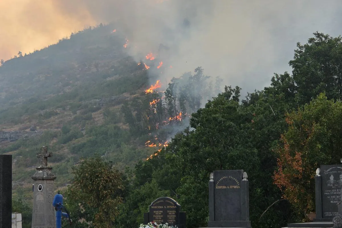 Ekološki pokret Ozon: Tvrdnje o namjerno izazvanim požarima moraju biti dokazane Ekološki pokret Ozon: Tvrdnje o namjerno izazvanim požarima moraju biti dokazane