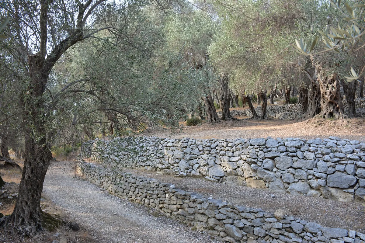 Gastroture: Doživjeti Ulcinj kroz njegove ukuse, ljude i priče Gastroture: Doživjeti Ulcinj kroz njegove ukuse, ljude i priče