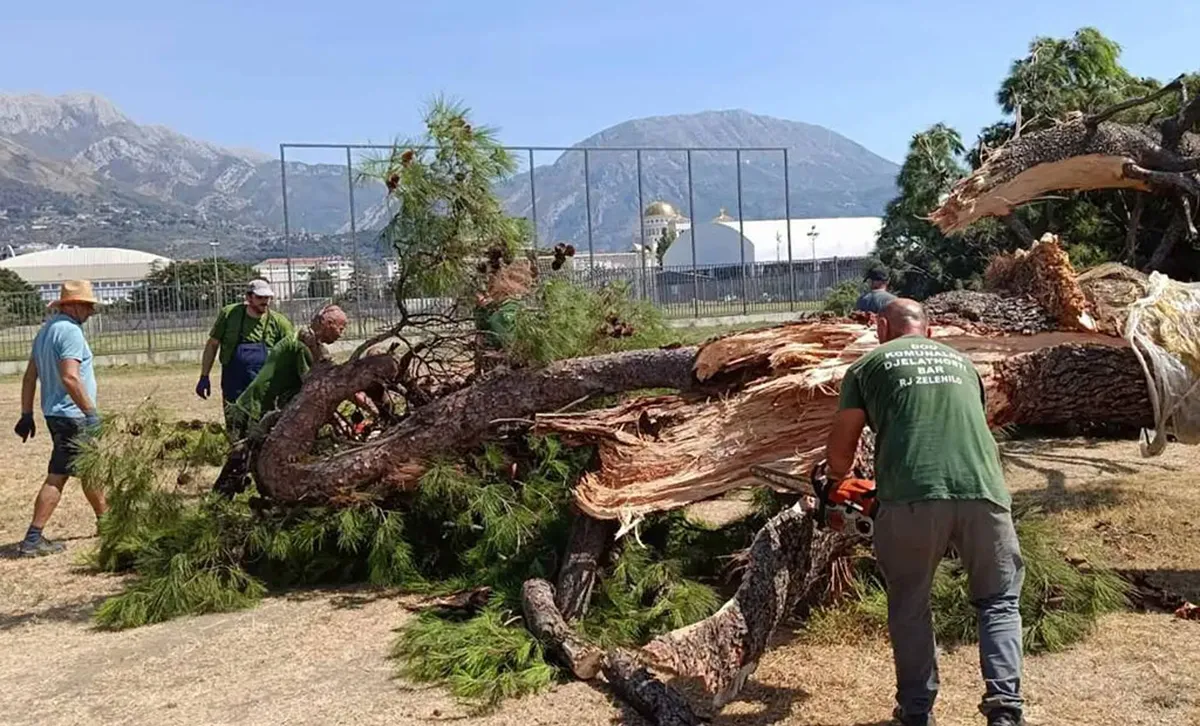 Grana bora teška osam tona pala na ugostiteljski objekat na Šetalištu kralja Nikole