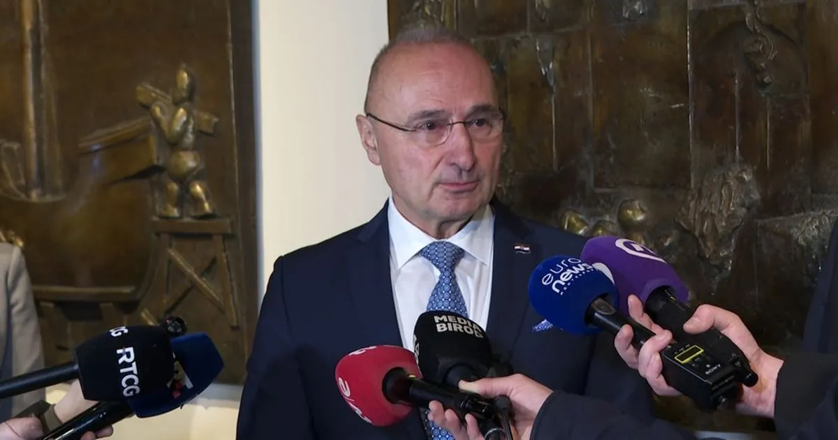 Grlić Radman osudio veličanje Ratka Mladića kao uvredu evropskim vrijednostima Grlić Radman osudio veličanje Ratka Mladića kao uvredu evropskim vrijednostima