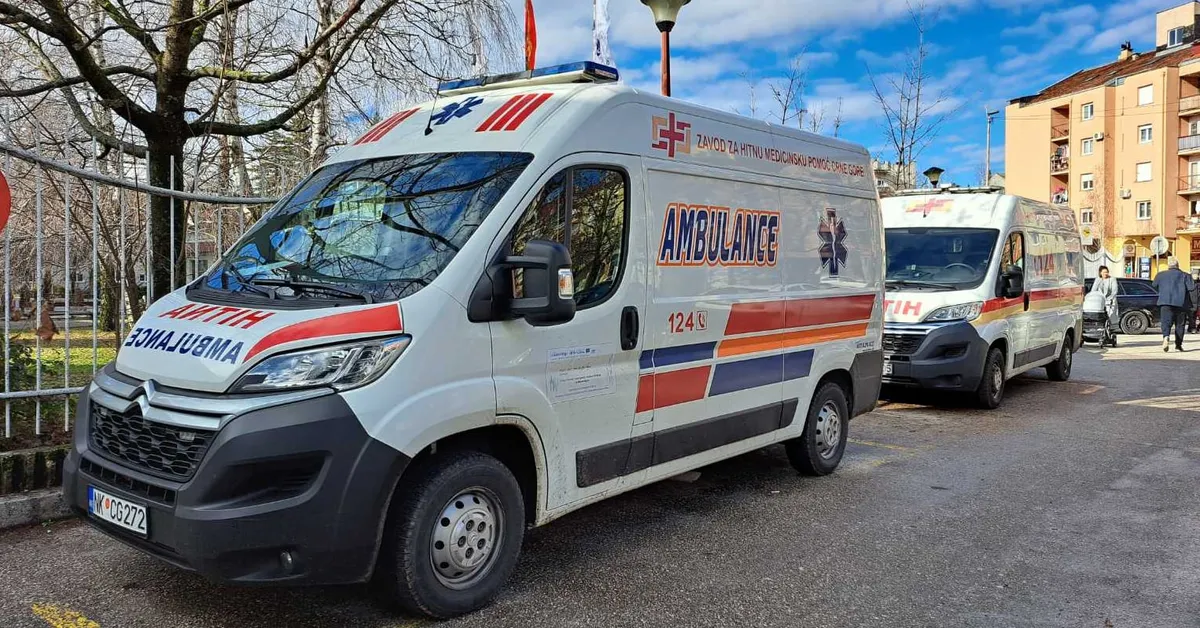 Hitna služba u Nikšiću: 75 pregleda i 15 kućnih posjeta Hitna služba u Nikšiću: 75 pregleda i 15 kućnih posjeta