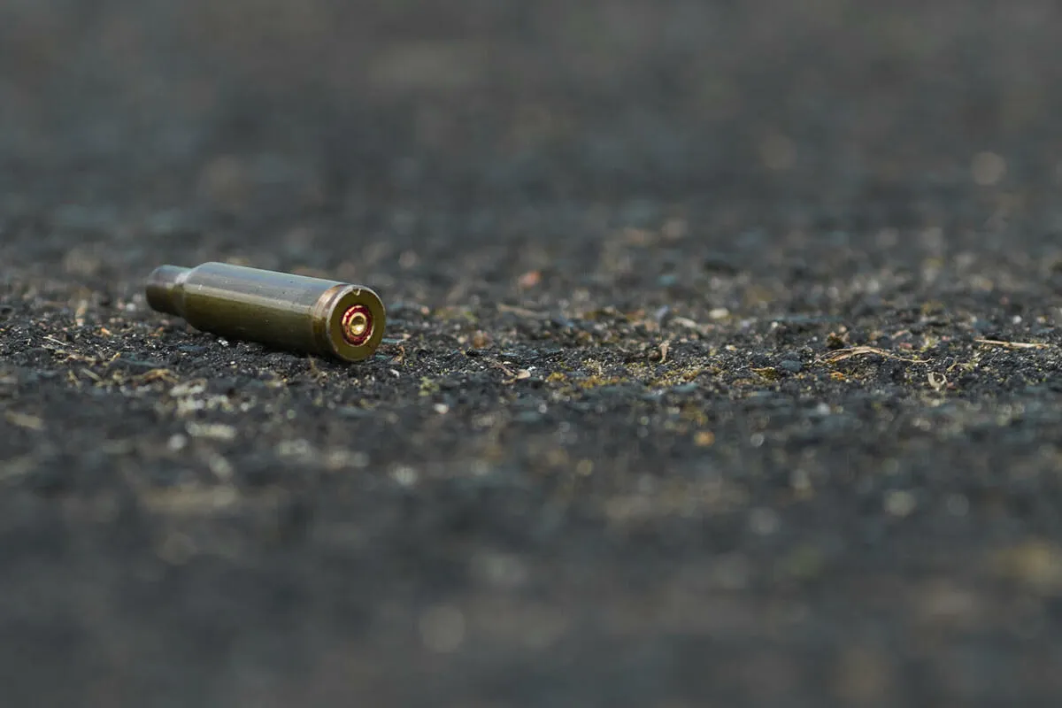 Holandska policija uhapsila 34 osobe nakon pucnjave u selu na istoku zemlje
