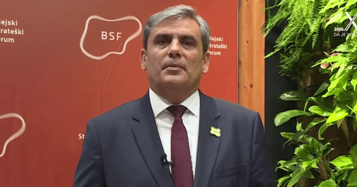 Ibrahimović: Čvrsta posvećenost reformama i evropskim vrijednostima Ibrahimović: Čvrsta posvećenost reformama i evropskim vrijednostima