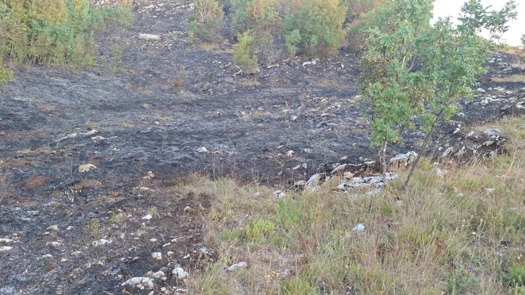 Kasom: Uspjeli smo da odbranimo kuće, vatrogasci i noćas ostaju na terenu