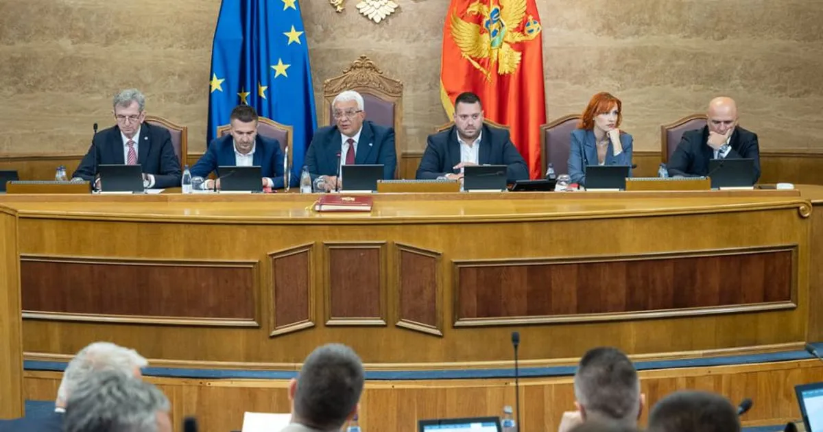 Mandić: Crnoj Gori potreban novi srpski odgovor, DPS boli naš ulazak u EU Mandić: Crnoj Gori potreban novi srpski odgovor, DPS boli naš ulazak u EU