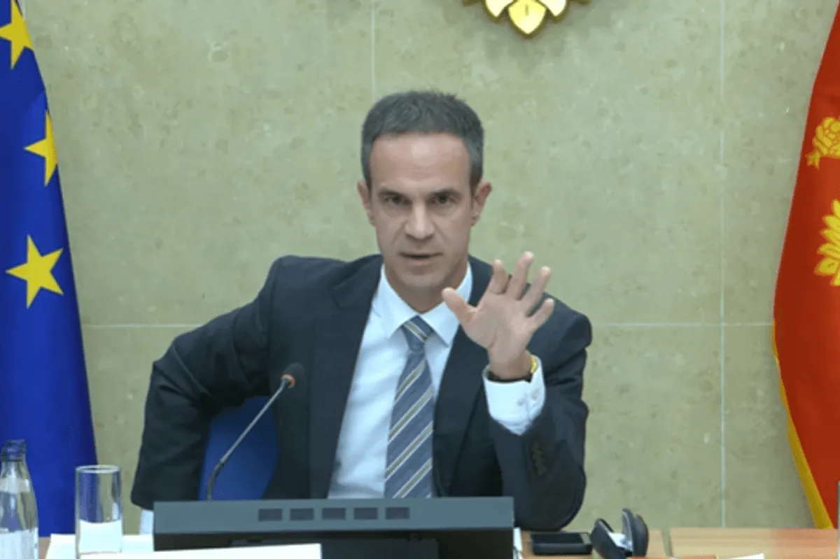 Mugoša: Nebuloza da će Mandićeva smjena usporiti EU put Mugoša: Nebuloza da će Mandićeva smjena usporiti EU put