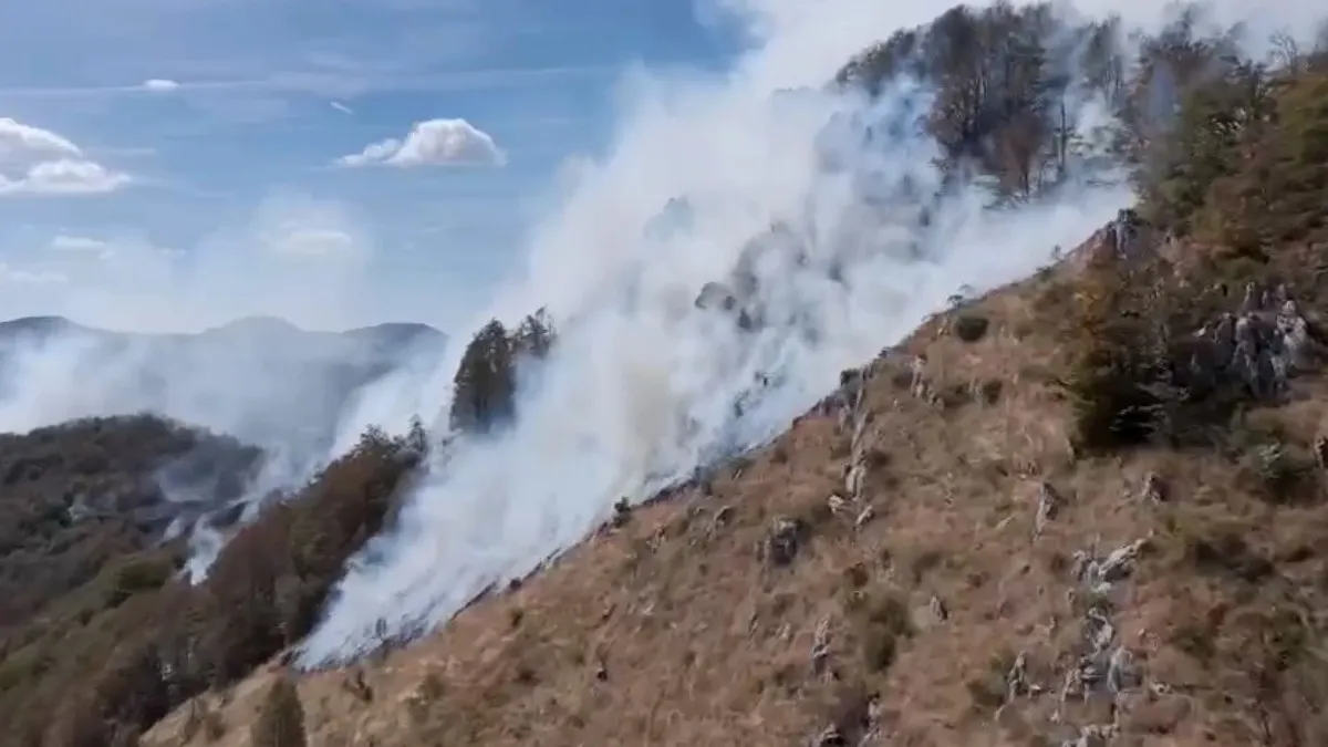 Požari aktivni kod Šavnika i na Cetinju, vatra zahvatila šumu Požari aktivni kod Šavnika i na Cetinju, vatra zahvatila šumu