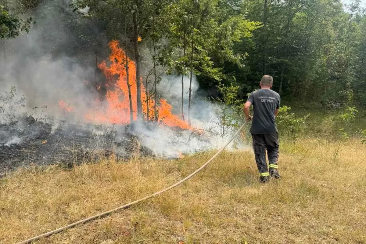 Požari pod kontrolom na Cetinju i Ulcinju, situacija stabilnija