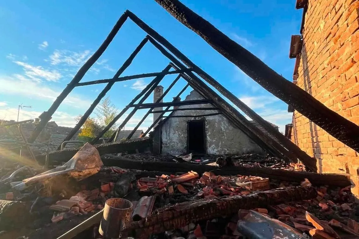 Psi spasili porodicu od požara u Hrvatskoj