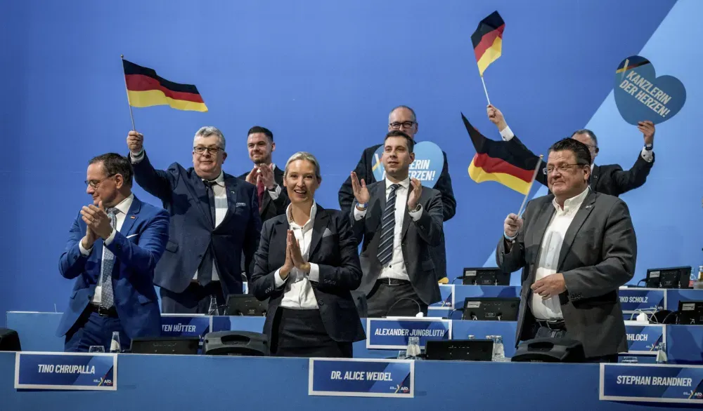 Razlozi za zabranu AfD-a Razlozi za zabranu AfD-a