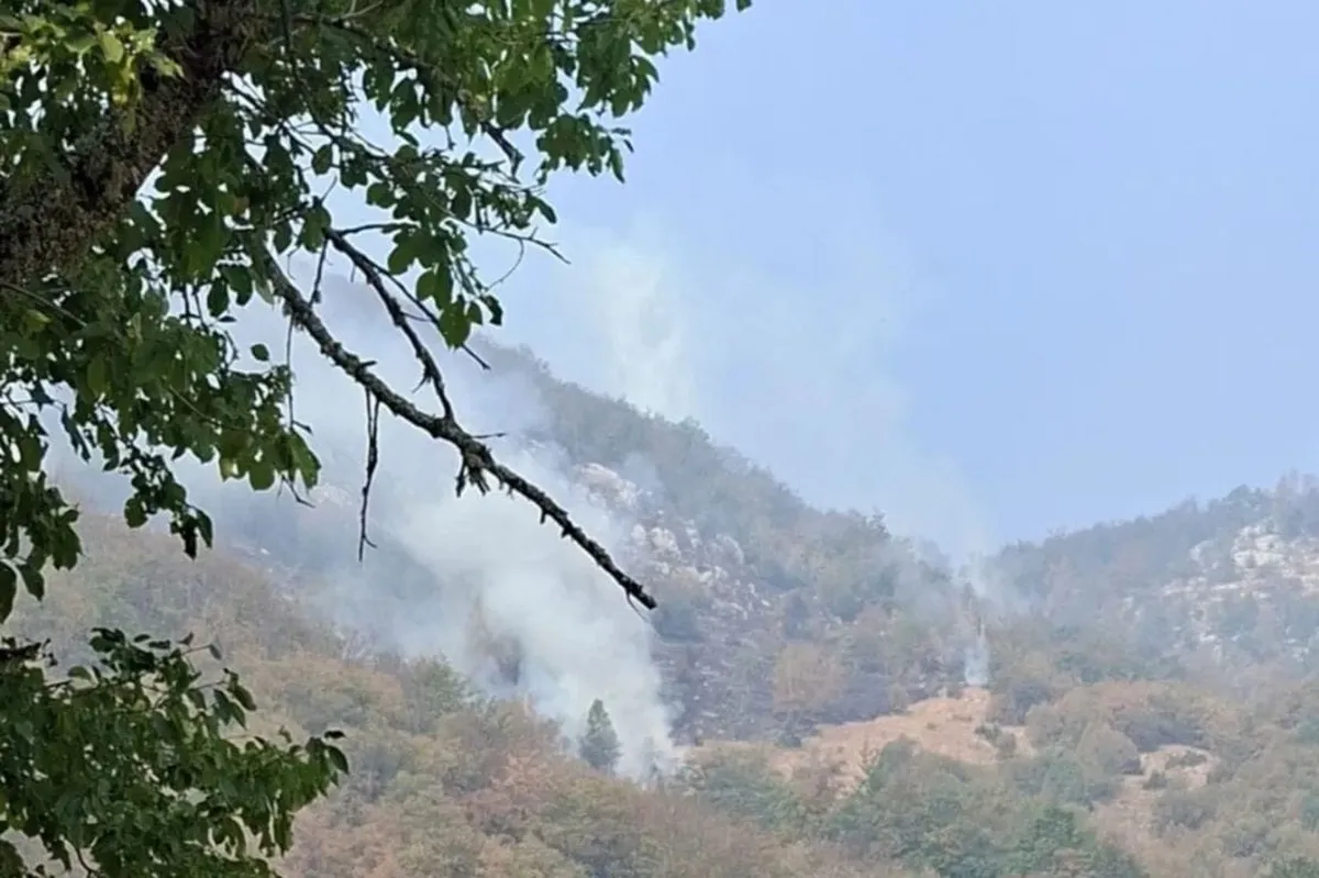 Šavnik: Dok su vatrogasci branili kuće, neko pokušao da podmetne novi požar