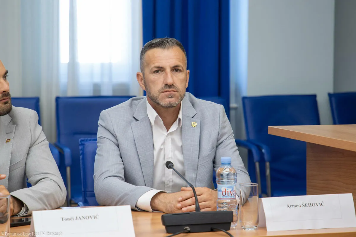 Šehović: Odžiću i Evropskom savezu ne smeta veličanje Mladića Šehović: Odžiću i Evropskom savezu ne smeta veličanje Mladića