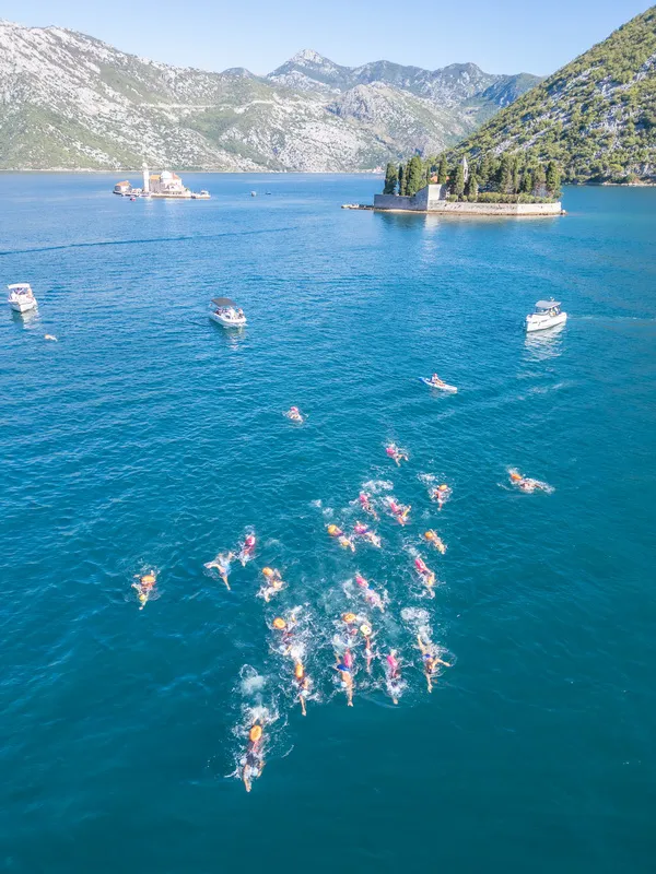 U Kotoru se održava humanitarni plivački maraton 'Dobrota 2026' U Kotoru se održava humanitarni plivački maraton 'Dobrota 2026'