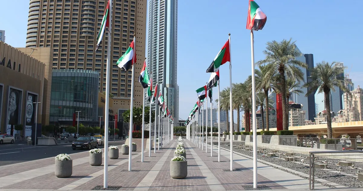 UAE pomilovao egipatsko-turskog pjesnika nakon osude na 10 godina zatvora UAE pomilovao egipatsko-turskog pjesnika nakon osude na 10 godina zatvora
