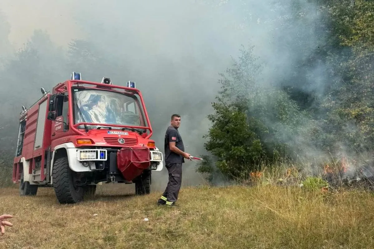 Vatrogasci gase požar na Kržanji, aktivni na 30 lokacija