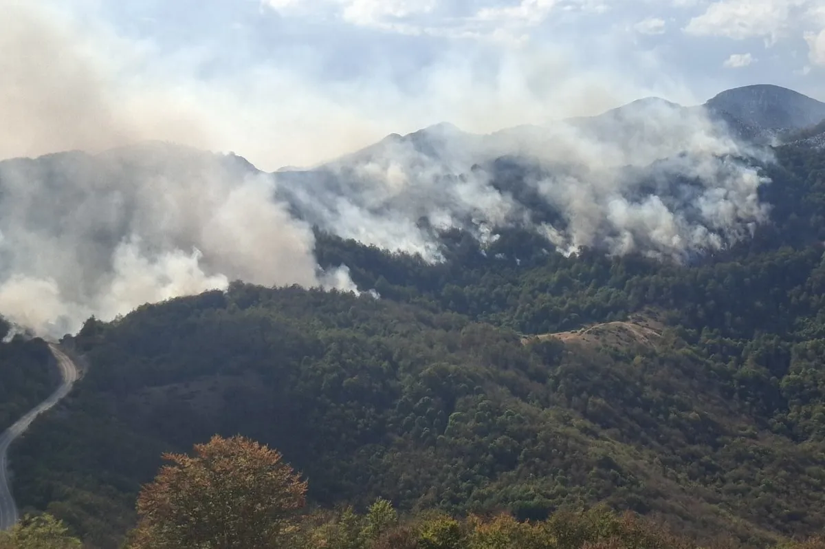Veliki požar u Ježevoj Gori i Pragi kraj Nikšića, sve snage na terenu
