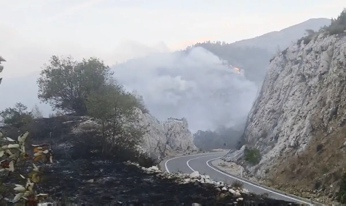 Veliki požar u Pragi, podmetnuta vatra uzrokuje haos
