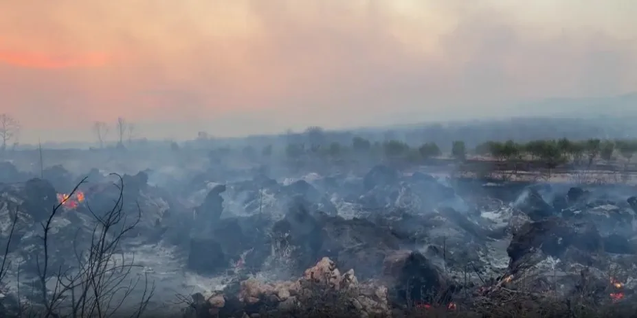Zbog podmetanja požara procesuirano 50 osoba, kazne do osam godina